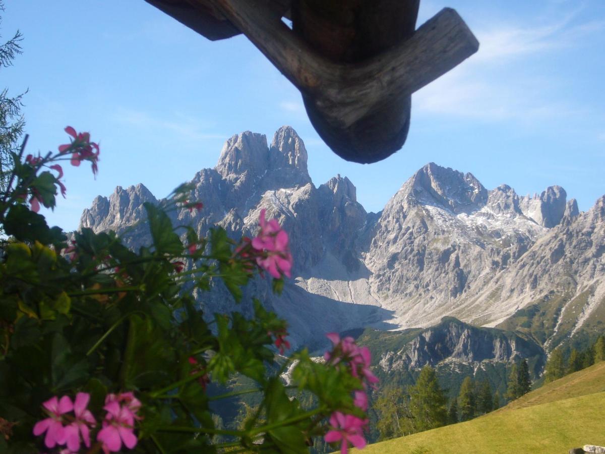 Haus Dorfblick Leilighet Filzmoos Rom bilde